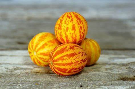 Melon queen annes 30 seeds - annes,