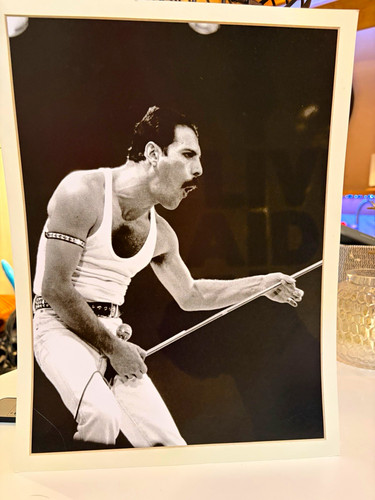 Queen freddie mercury - freddie, black